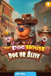 The Dog House